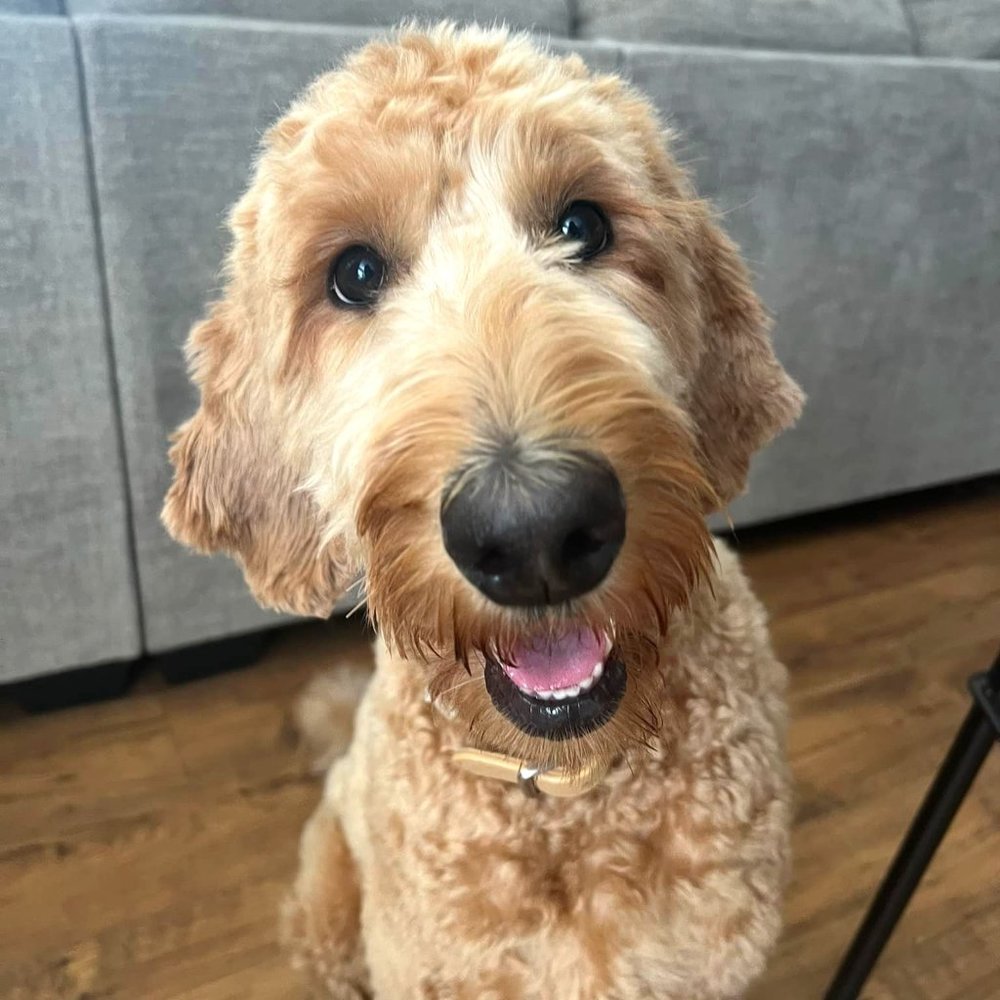 Meet your Posher, Jenna